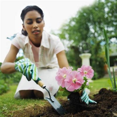  Pourquoi la Femme qui Plantait des Plantes est-elle un Trésor Littéraire Caché ? !